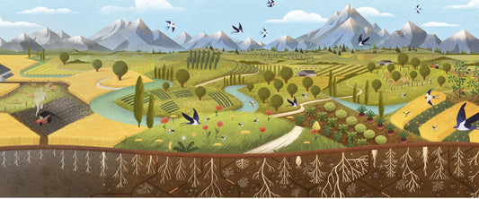 2025 is Going to be Plant-Powered with Nature on Our Plates